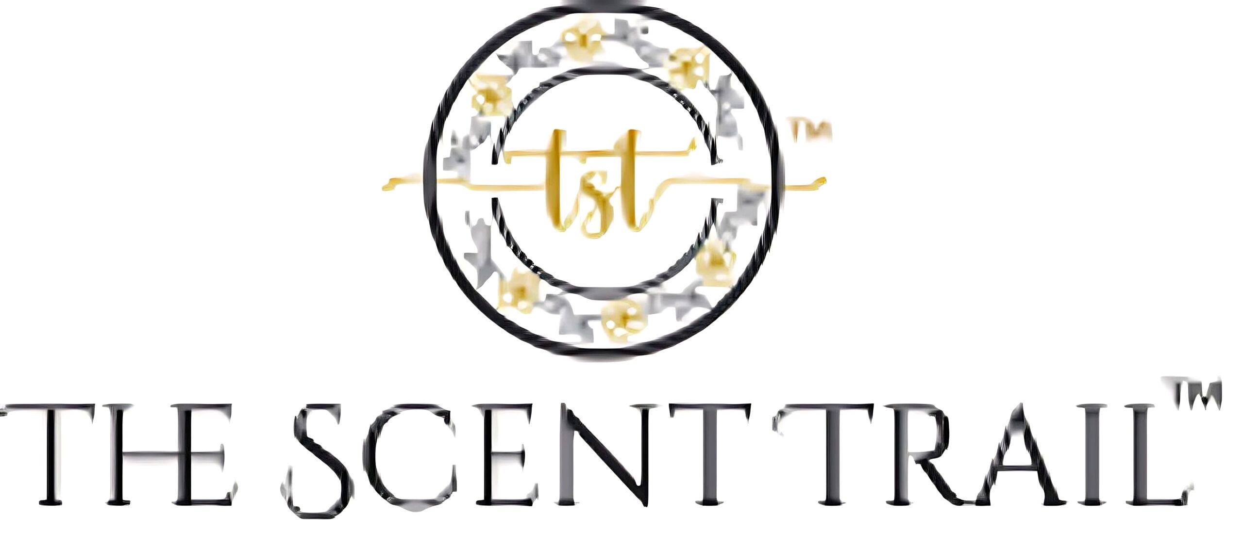 Tst logo